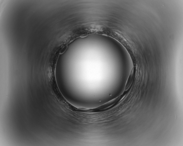 X0000094200704200710261152