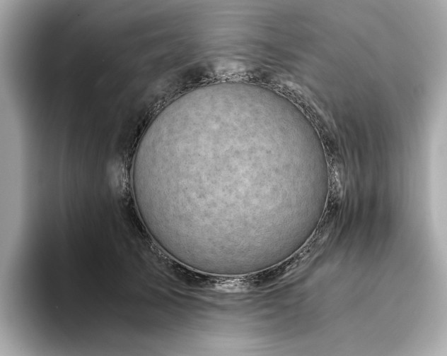 X0000094200705200710261152