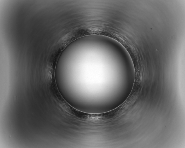 X0000094200710200710261152