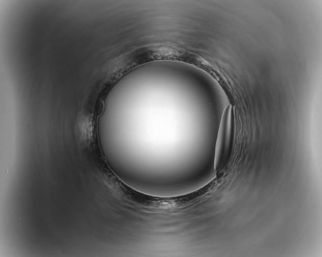 X0000094200715200710261152