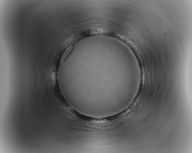 X0000094200716200710261152