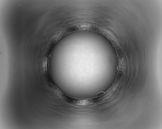 X0000094200717200710261152