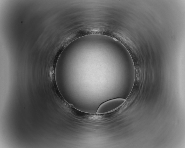 X0000094200718200710261152