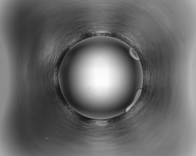X0000094200719200710261152
