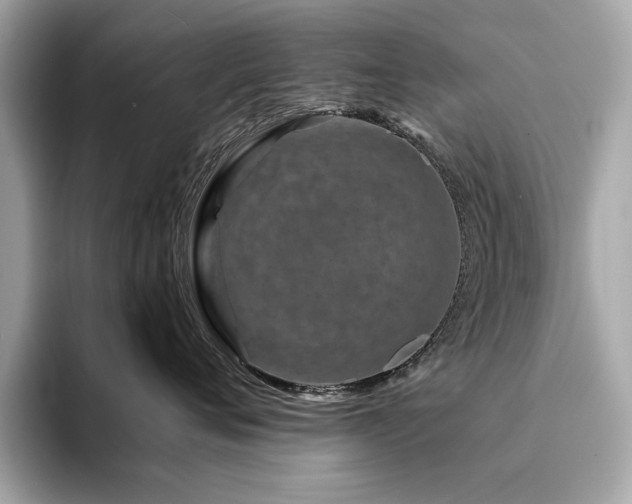 X0000094200720200710261152
