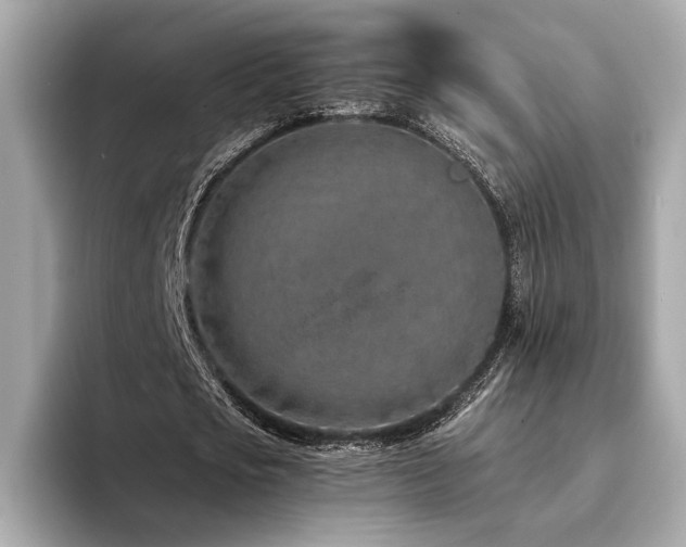 X0000094200721200710261151