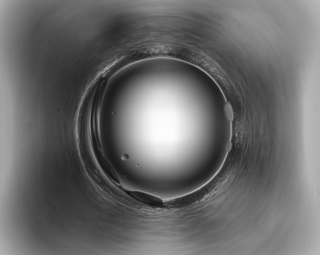 X0000094200722200710261151