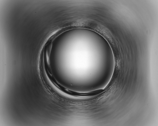 X0000094200724200710261151