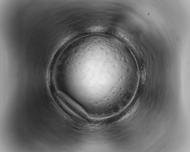 X0000094200725200710261151
