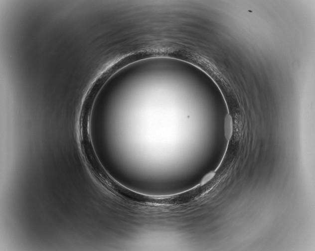 X0000094200726200710261151