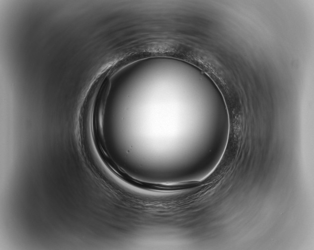 X0000094200727200710261151