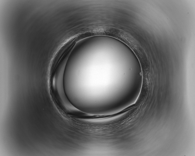 X0000094200728200710261151