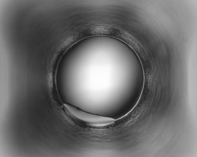 X0000094200729200710261151