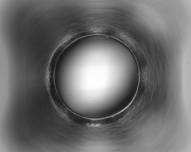 X0000094200730200710261151