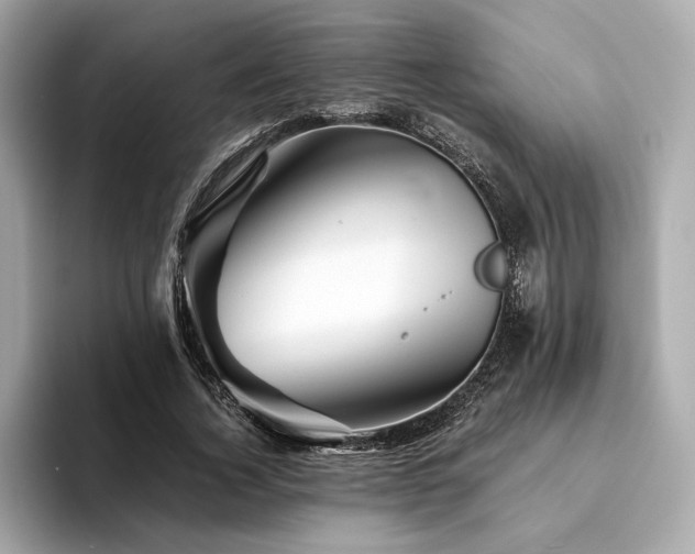 X0000094200732200710261151