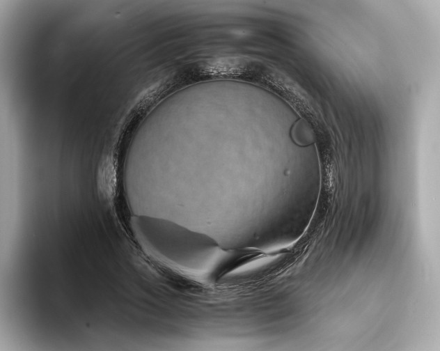 X0000094200733200710261151