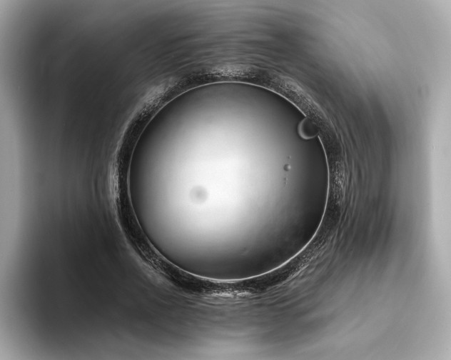 X0000094200734200710261151