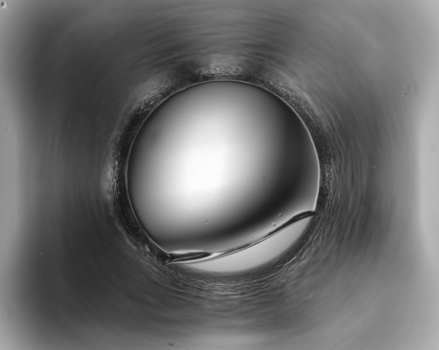 X0000094200735200710261151