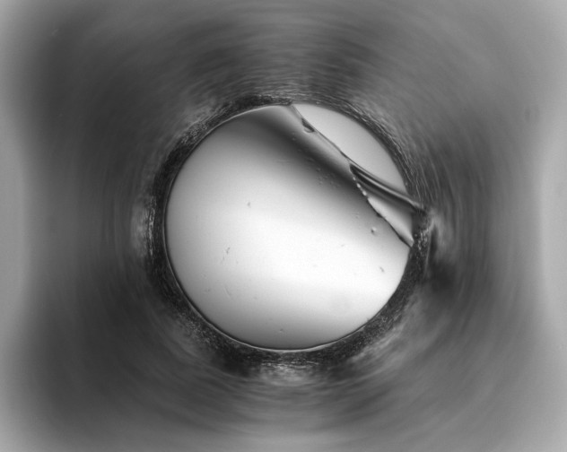 X0000094200739200710261151