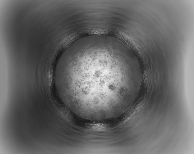 X0000094200741200710261151