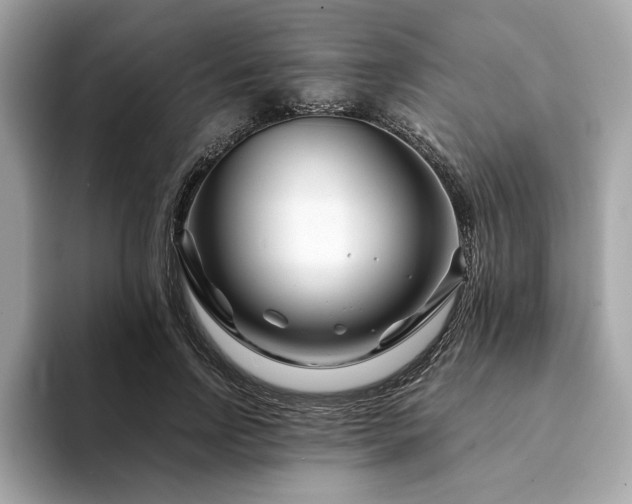 X0000094200742200710261151