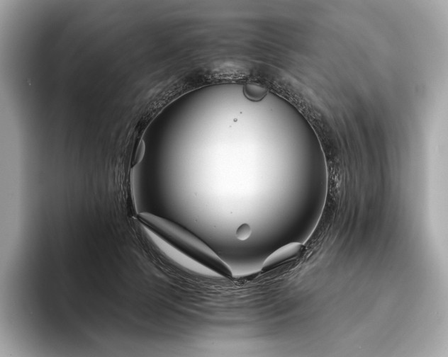 X0000094200745200710261151