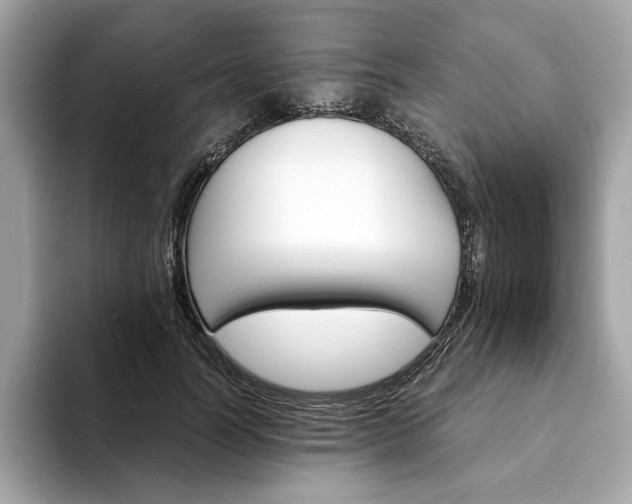 X0000094200746200710261151