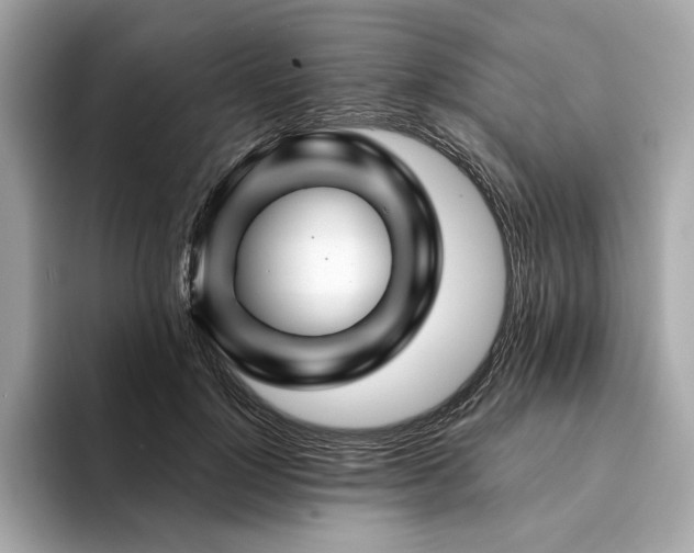 X0000094200748200710261152
