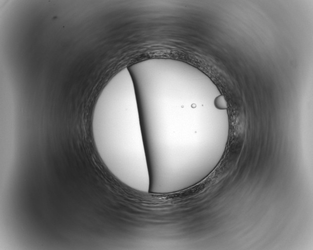 X0000094200753200710261152