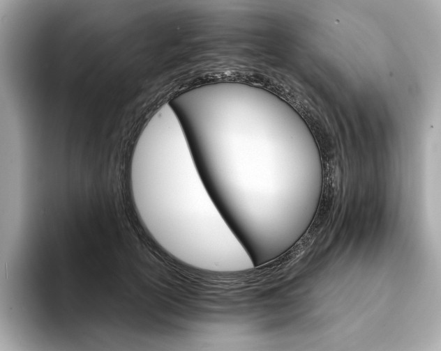 X0000094200754200710261152