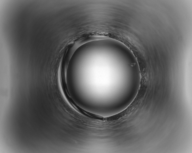X0000094200756200710261152