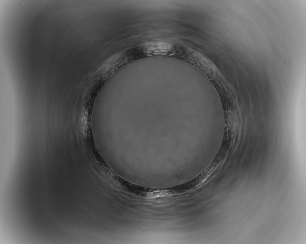 X0000094200761200710261152