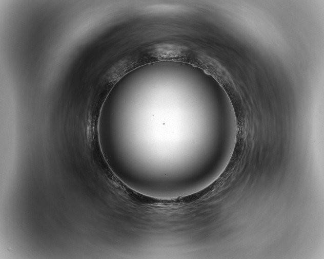 X0000094200763200710261152