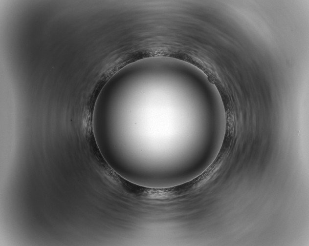 X0000094200766200710261152
