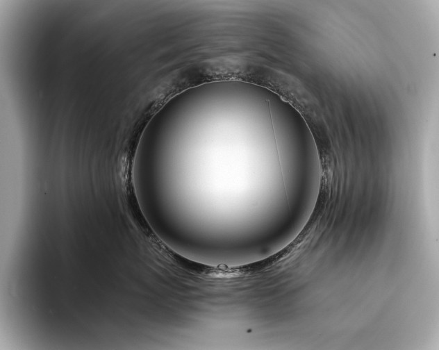 X0000094200767200710261152