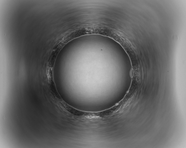 X0000094200770200710261151