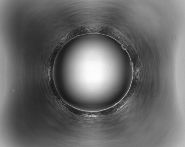 X0000094200772200710261151