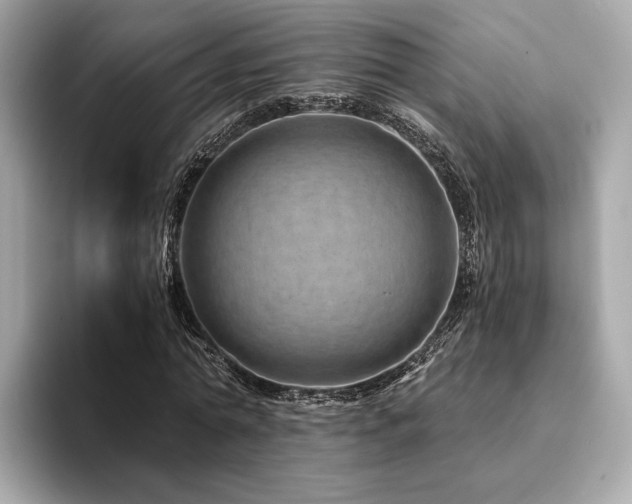 X0000094200774200710261151