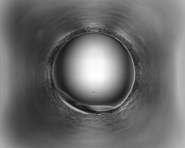X0000094200775200710261151