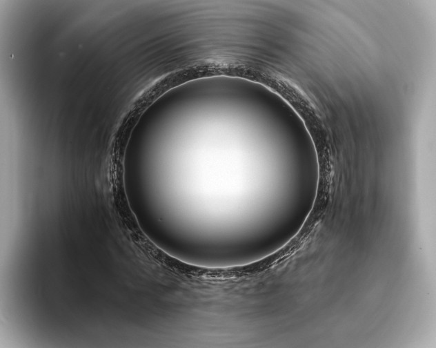 X0000094200776200710261151