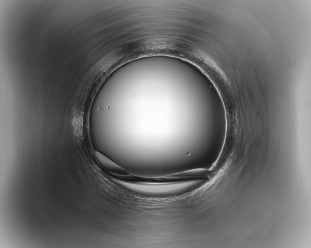 X0000094200777200710261151