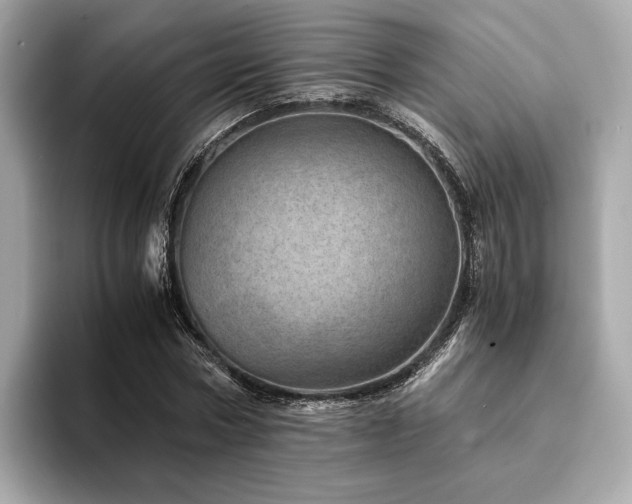 X0000094200778200710261151