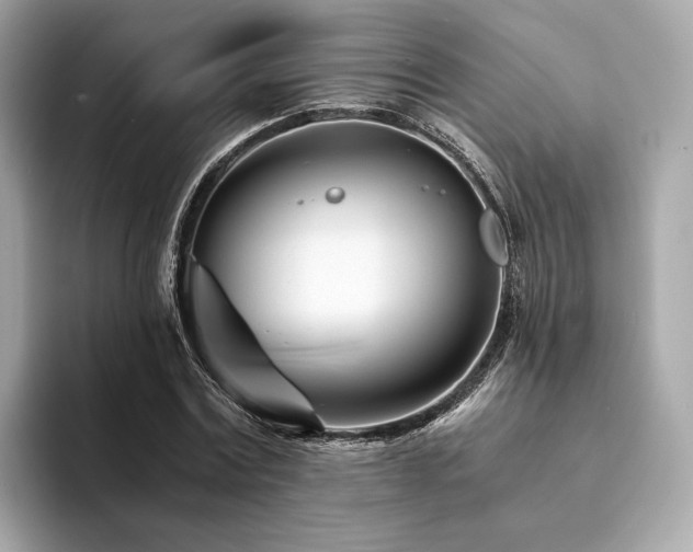 X0000094200779200710261151