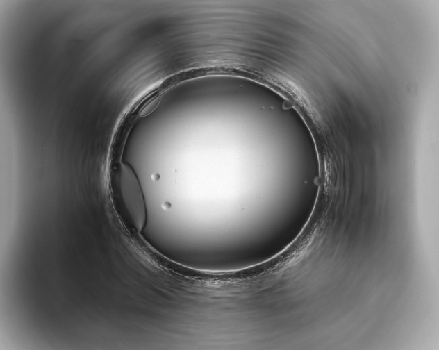 X0000094200780200710261151