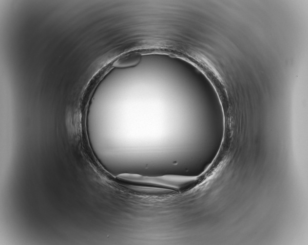 X0000094200781200710261151