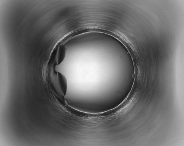 X0000094200782200710261151