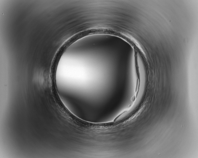 X0000094200783200710261151