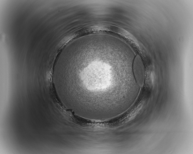 X0000094200785200710261151