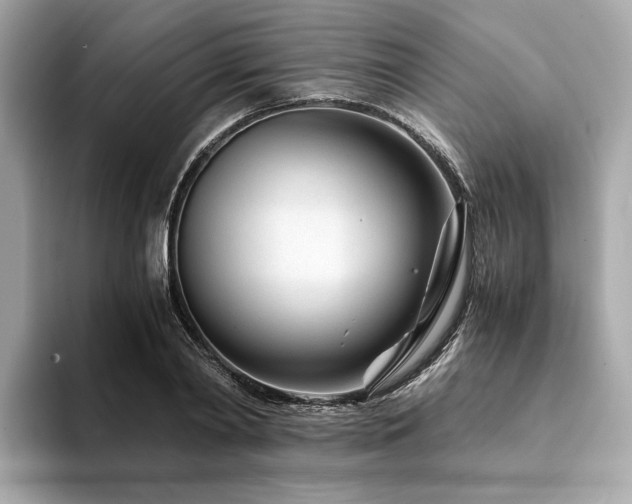 X0000094200790200710261151