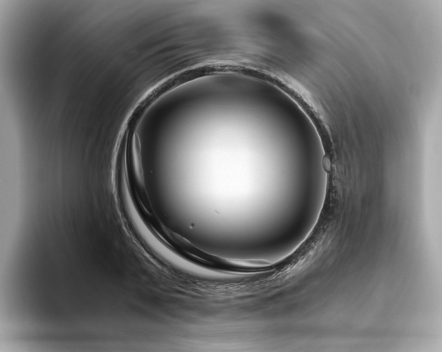 X0000094200791200710261151